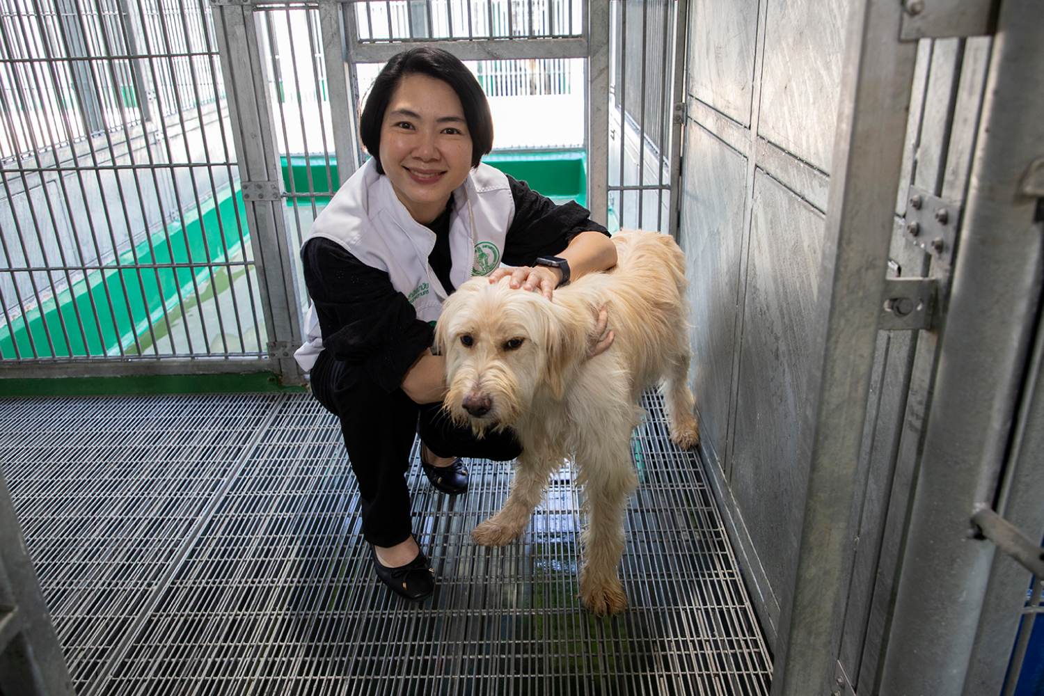 BMA’s Dr Pacharaorn Somboonvijitr, chief of the Dog Control and Shelter Subdivision, Public Health Veterinarian Office Health Department.