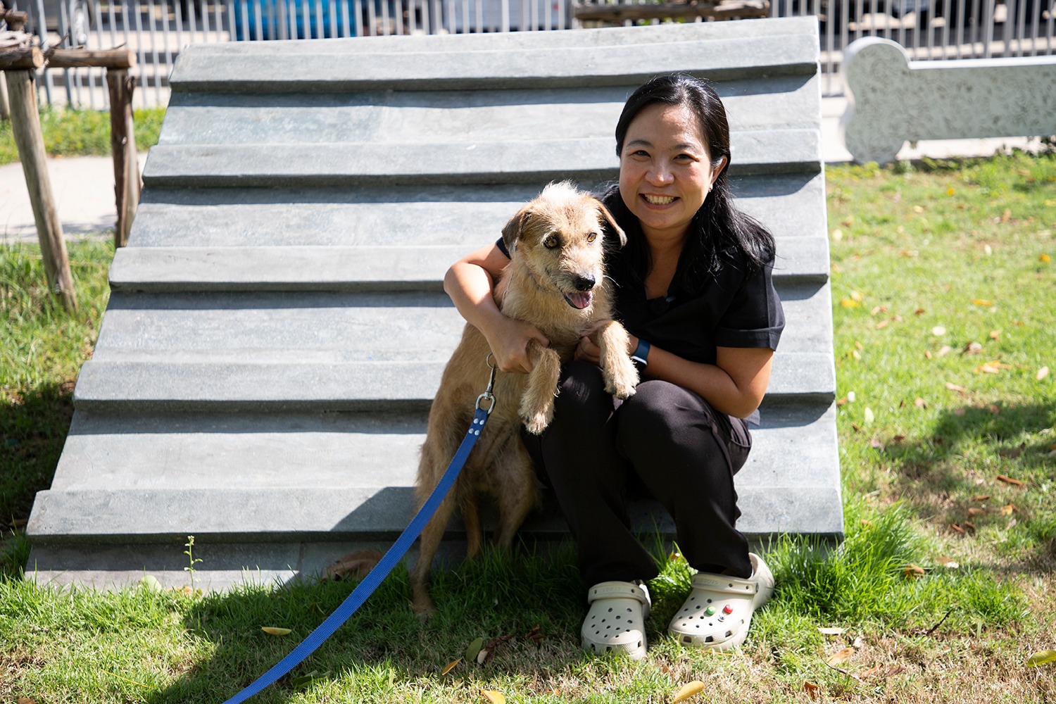BMA’s Dr Anchalee Thueansukhon, a vetarinarian at the shelter.