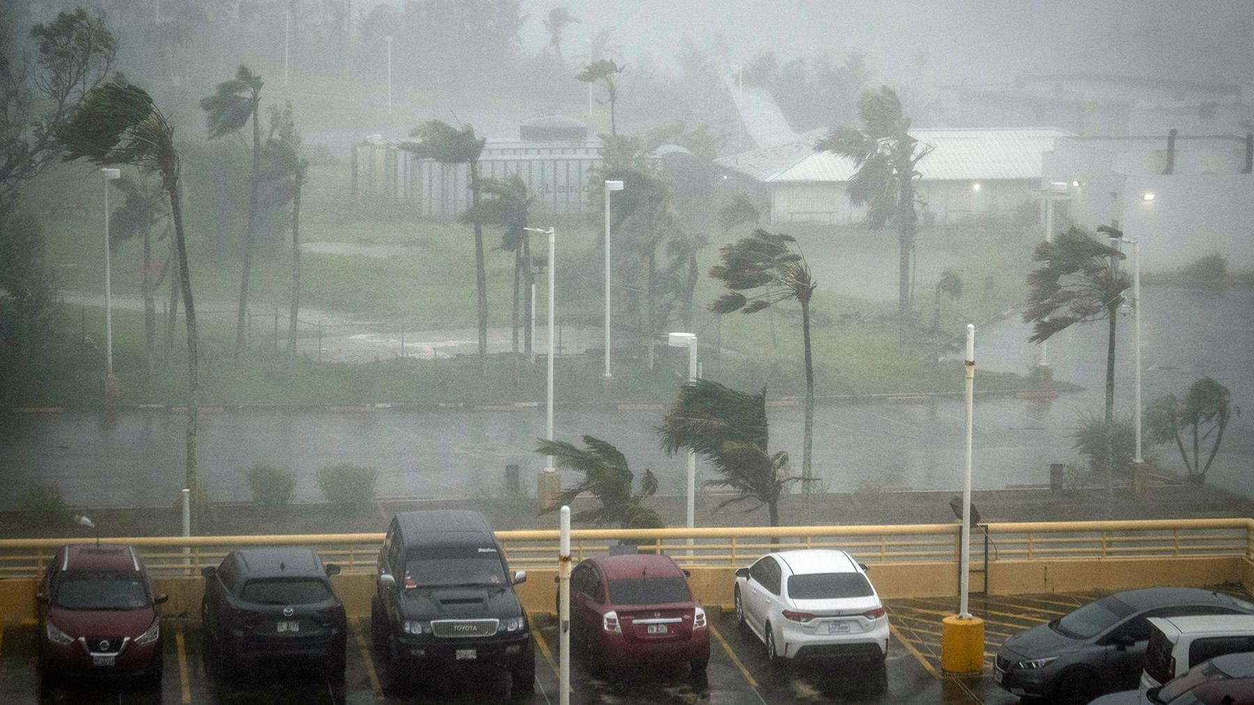 ต้นไม้ถูกพัดด้วยลมแรงและฝนตกหนักด้านหลังลานจอดรถที่เต็มไปด้วยรถยนต์