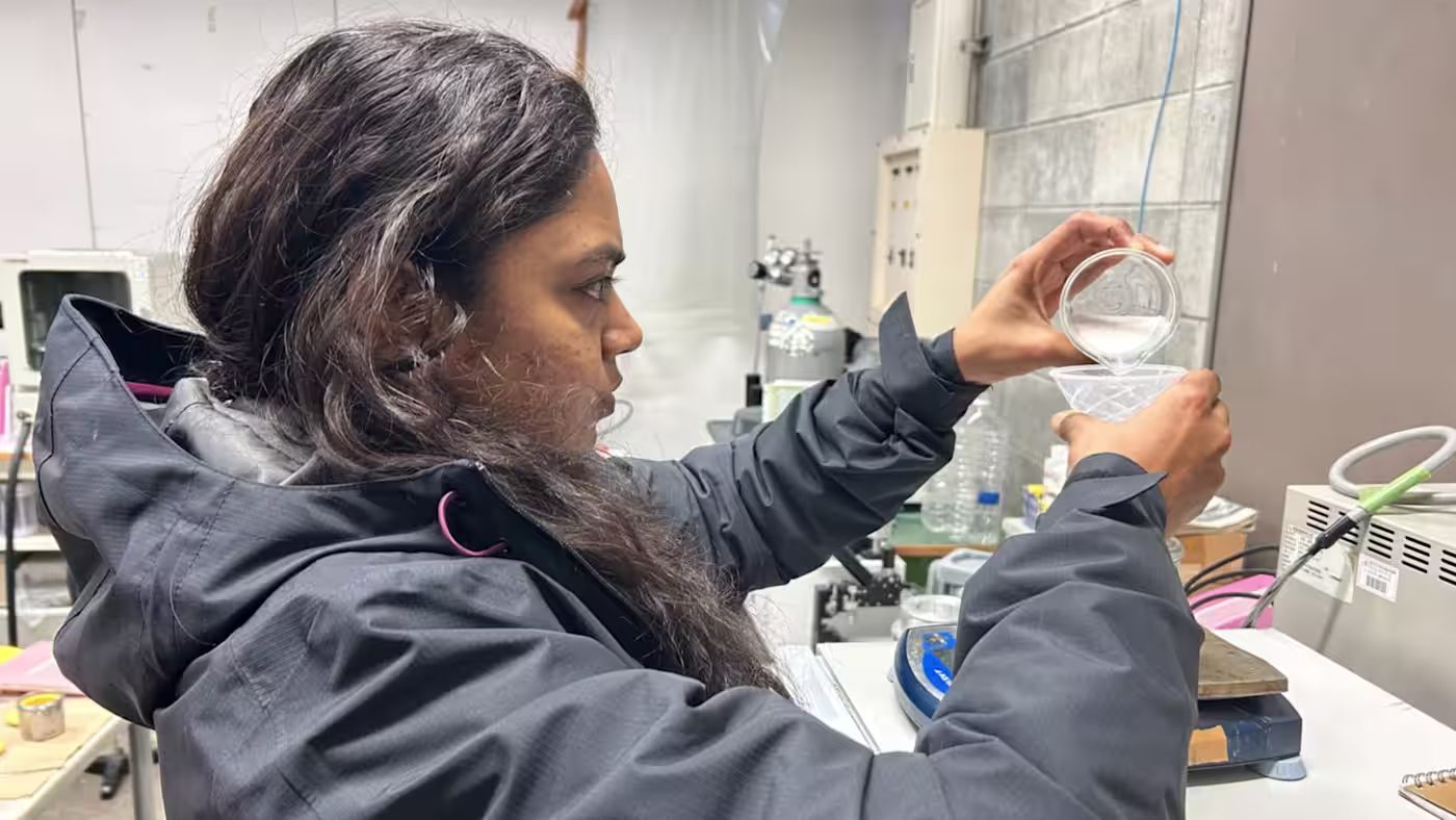 Japan attracts young Indian researchers to collaborate on AI, chemistry