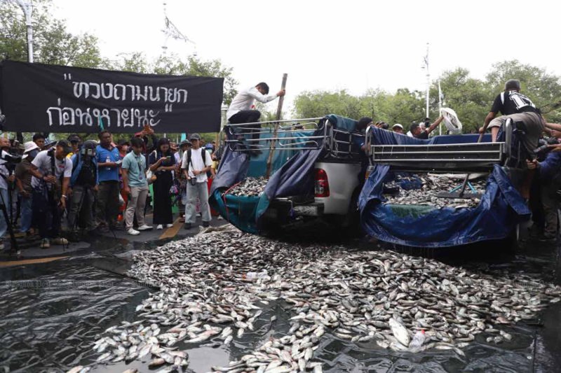 เกษตรกรเทปลานิลดำปากแดงสองรถบรรทุกหน้าทำเนียบรัฐบาล เพื่อประท้วงความล่าช้าในการกำจัดปลาต่างถิ่นที่ทำลายระบบนิเวศท้องถิ่น (ภาพ: ณัฐวัฒน์ วิเชียรบุตร)