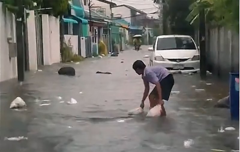 “ฮีโร่ตัวน้อย” ลากถุงขยะที่ลอยน้ำไปยังถังขยะในซอยอ่อนนุช 17 ที่น้ำท่วมกรุงเทพฯ เมื่อวันเสาร์ (ภาพจากวิดีโอของผู้ใช้ TikTok ชื่อ Ndphk)