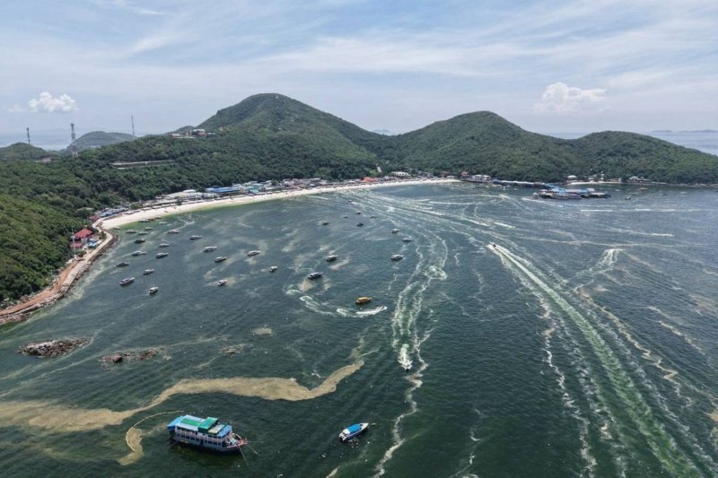 ภาพมุมสูงของน้ำทะเลสีเขียวขุ่นผิดปกติรอบเกาะล้าน จังหวัดชลบุรี เมื่อวันพุธ