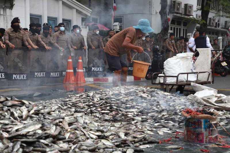 เกษตรกรจาก 19 จังหวัดเทปลานิลคางดำจำนวนมากหน้าทำเนียบรัฐบาลเมื่อเดือนมีนาคมปีที่แล้ว เพื่อประท้วงความล่าช้าในการกำจัดปลานิลคางดำซึ่งเป็นชนิดพันธุ์ต่างถิ่นที่ทำลายระบบนิเวศในท้องถิ่น (ภาพ: ณัฐวัฒน์ วิเชียรบุตร)