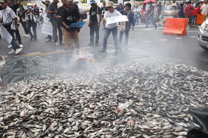 เกษตรกรชาวไทยเทปลานิลคางดำนอกทำเนียบรัฐบาล เพื่อประท้วงความคืบหน้าที่ล่าช้าในการกำจัดปลาชนิดรุกรานเมื่อเดือนมีนาคมปีที่แล้ว ถ่ายโดย ณัฐวัฒน์ วิเชียรบุตร