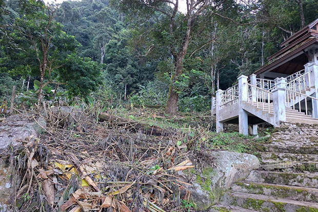 ร่องรอยการตัดต้นไม้ที่อนุสรณ์สถาน รัชกาลที่ 9 บนดอยปุย อ.เมือง จ.เชียงใหม่