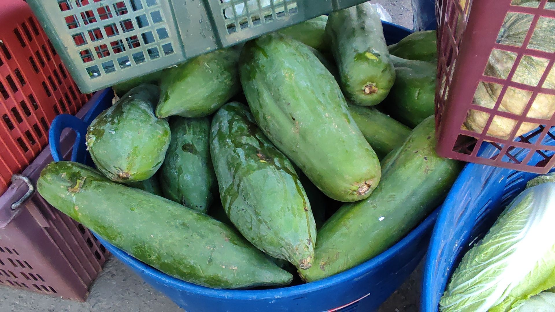 (ภาพ: ประสิทธิ์ ตั้งประเสริฐ)