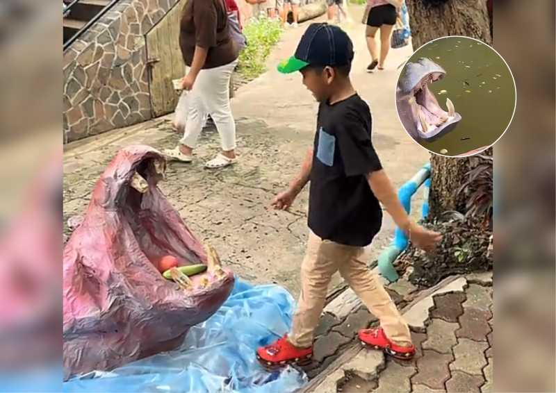ฝึกเล็งเป้าหมายของคุณ (ภาพหน้าจอ: @salindamungkhon และ @samutprakancrocodilefarm)