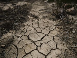 europe-heatwave-drought-records-roads-buckle