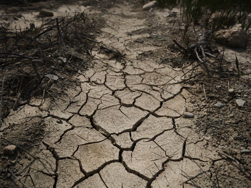 europe-heatwave-drought-records-roads-buckle