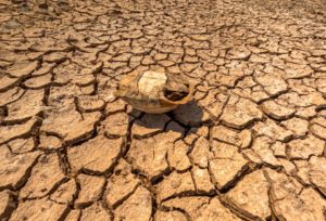 heatwaveisworsteverandimpossiblewithoutclimatecrisis