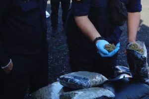 1-6-tonnes-cannabis-seized-laemchabang-netherlands