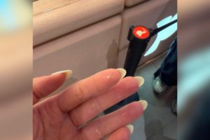 bangkok-gelato-shop-apologies-glass-shard-customer