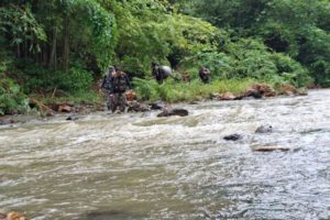 four-monks-missing-after-bamboo-raft-breaks-up-in-surat-thani