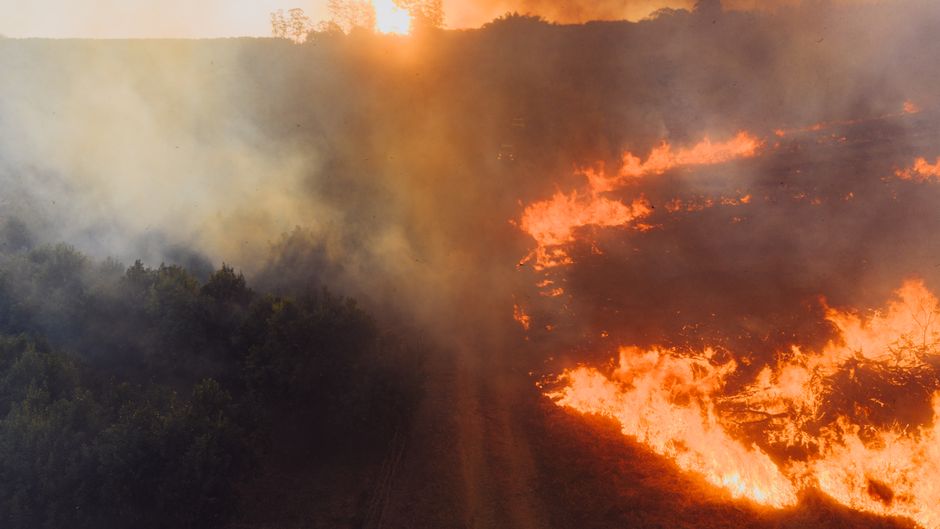 france-excess-deaths-heatwave-europe-extreme-weather