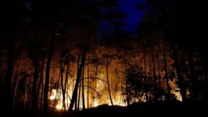 planes-tackle-wildfires-paris