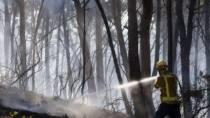 spain-wildfire-heatwave-deaths