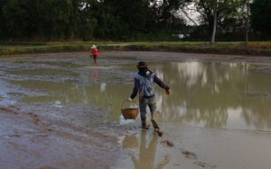 state-pawnshops-aid-farmers