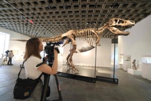 t-rex-gus-auction-record-50-1-million-usd