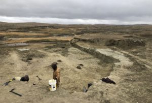 t-rex-most-expensive-fossil-problem-for-scientists