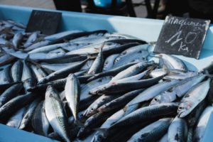 thai-cabinet-approves-5-year-fisheries-plan-illegal-fishing