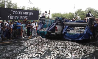 ศาลอุทธรณ์ไทยพิพากษายืนรับฟ้องคดีแบบกลุ่มเรียกค่าเสียหายปลานิลรุกรานจาก CPF