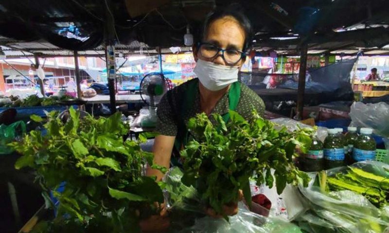 ก.เกษตรฯ ไทย เตรียมทบทวนคำขอจดทะเบียนสิทธิพันธุ์กะเพรา